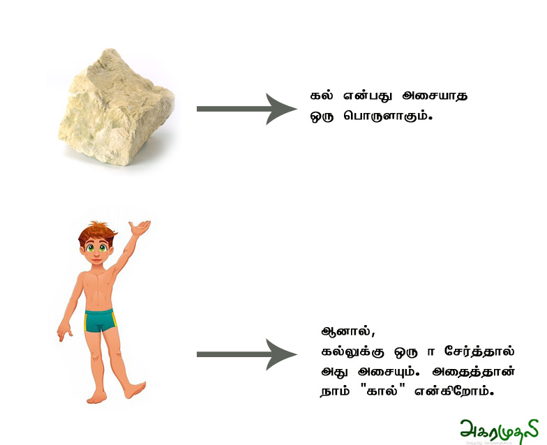கால் என்ற சொல்லின் உண்மையான விளக்கம்